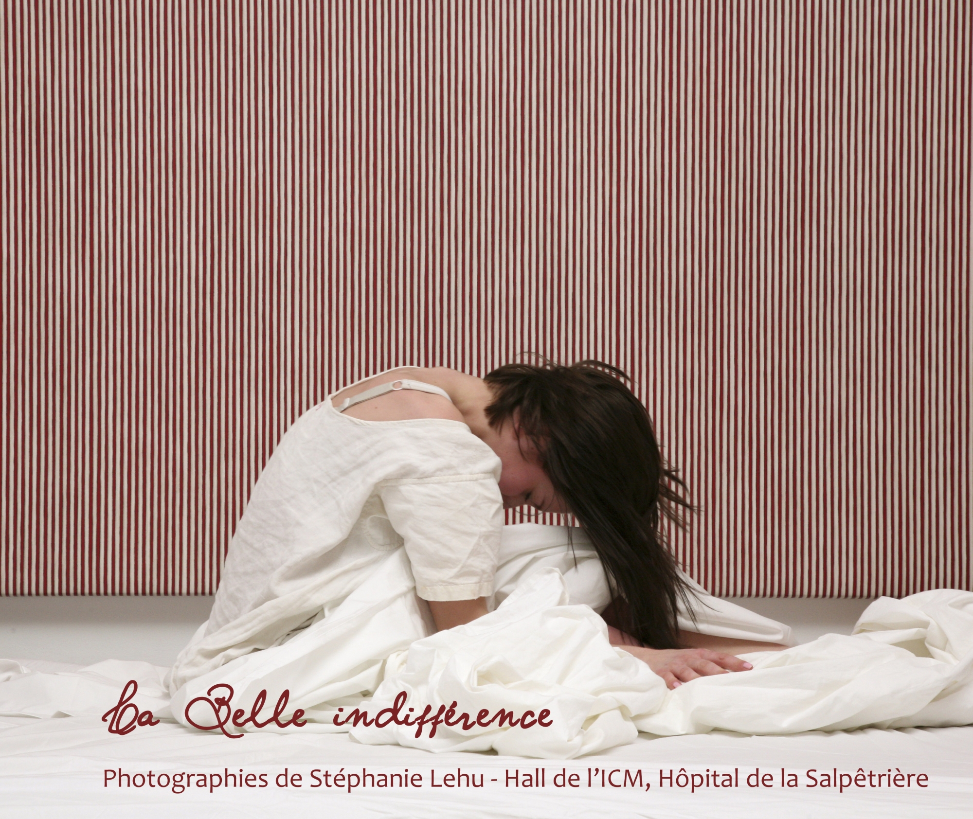 Exposition de Stéphanie Lehu, La Belle Indifférence